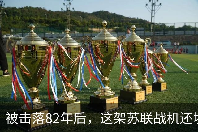 被击落82年后，这架苏联战机还埋在匈牙利地下17英尺