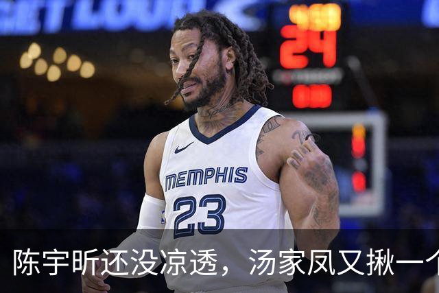 陈宇昕还没凉透，汤家凤又揪一个“精日”人员：竟然还是公司老板